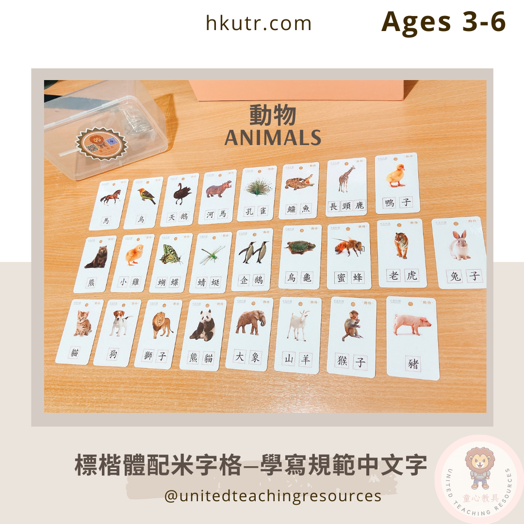 【早教必學】幼兒認字中英文詞卡300 Bilingual Chinese-English Flashcards 300 for toddlers