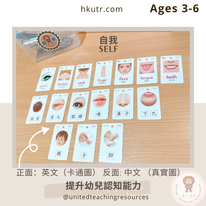 【早教必學】幼兒認字中英文詞卡300 Bilingual Chinese-English Flashcards 300 for toddlers